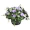 Haute Decor 22&#x22; Purple Wild Hydrangea Urn Filler with Adjustable Height